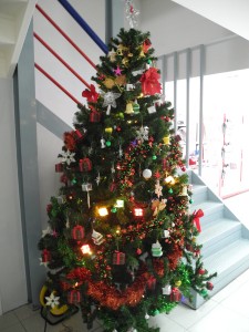 Christmas tree at PLS